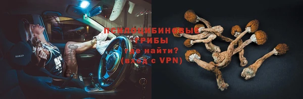 крисы Верхнеуральск