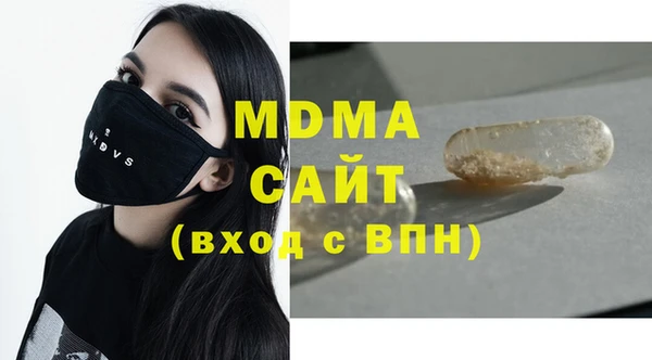 шишки Надым