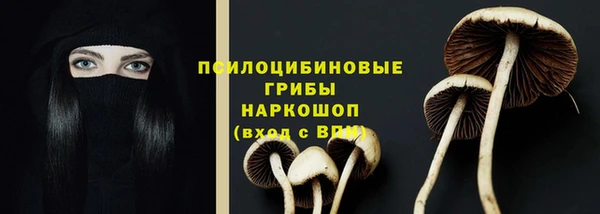 apvp Нефтегорск