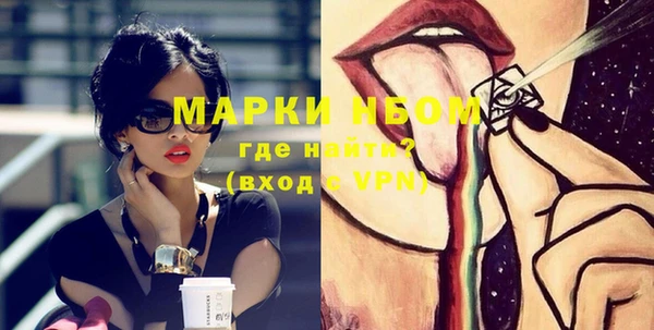 шишки Надым