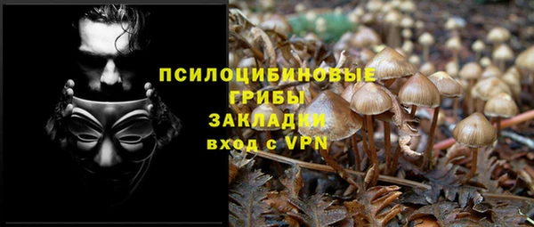 MESCALINE Верея